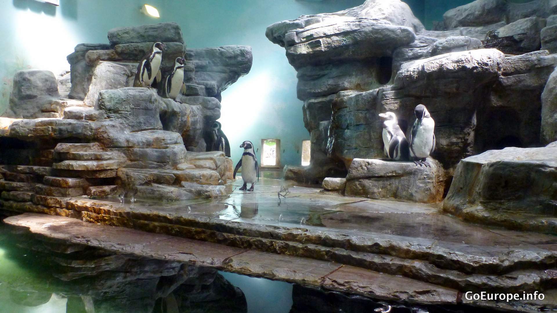Zoo in Prague.