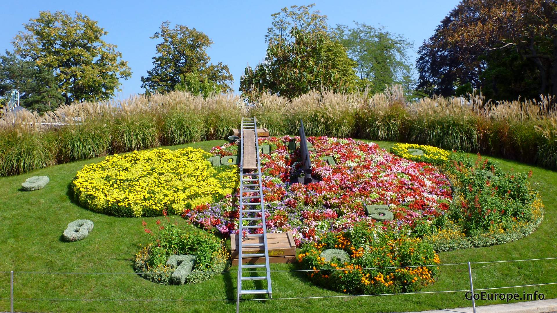 Check the time on the flower clock.