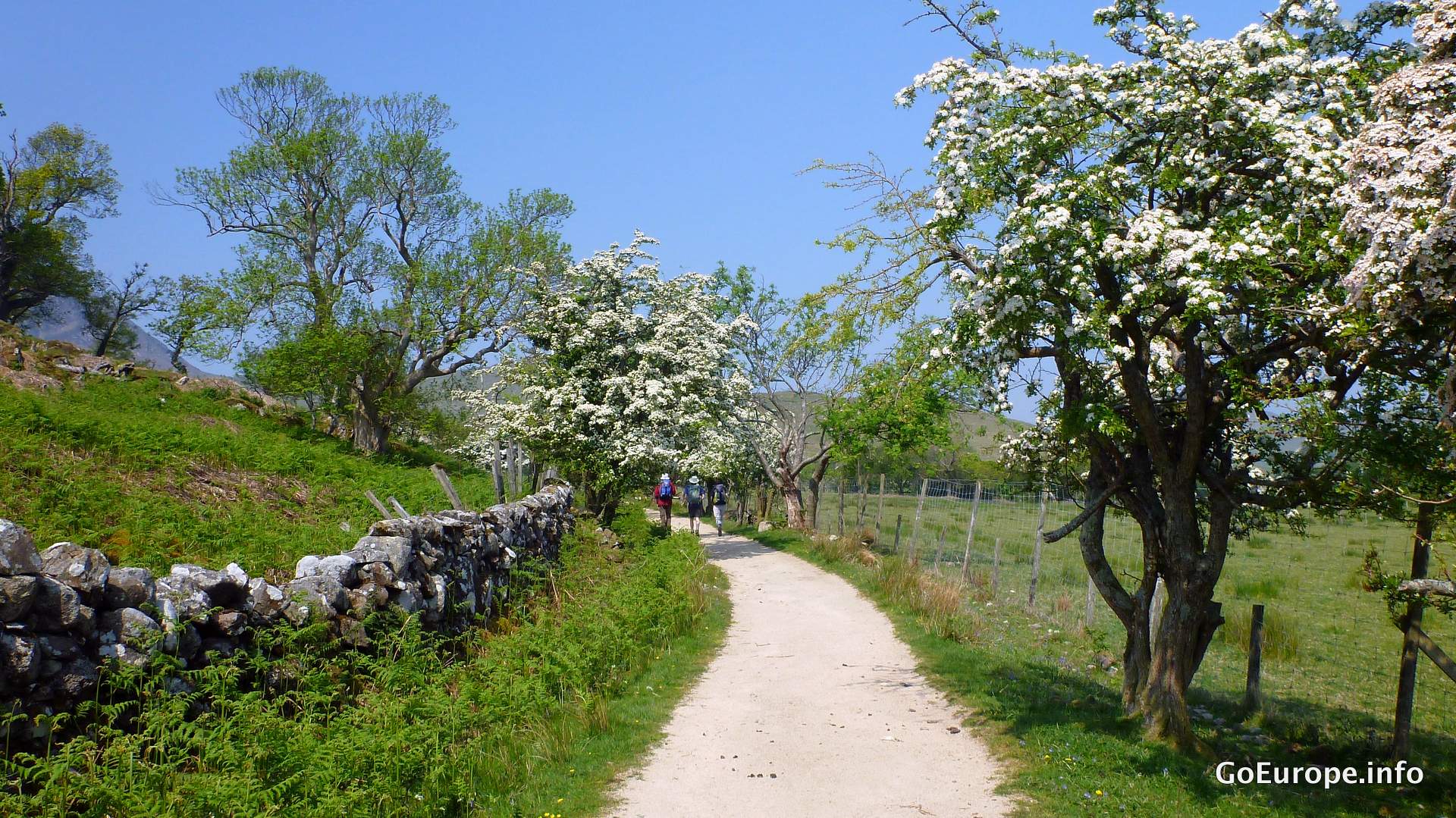 There are a lot of hiking paths on the island.